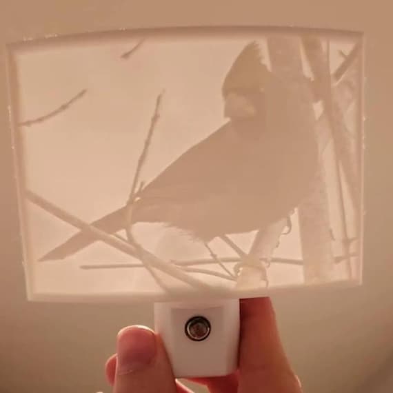 Cardinal LED Night Light | 3D Printed Red Bird Decor | Gift for Bird Lovers | Memorial Gift | Maine Made Wildlife Accent Light
